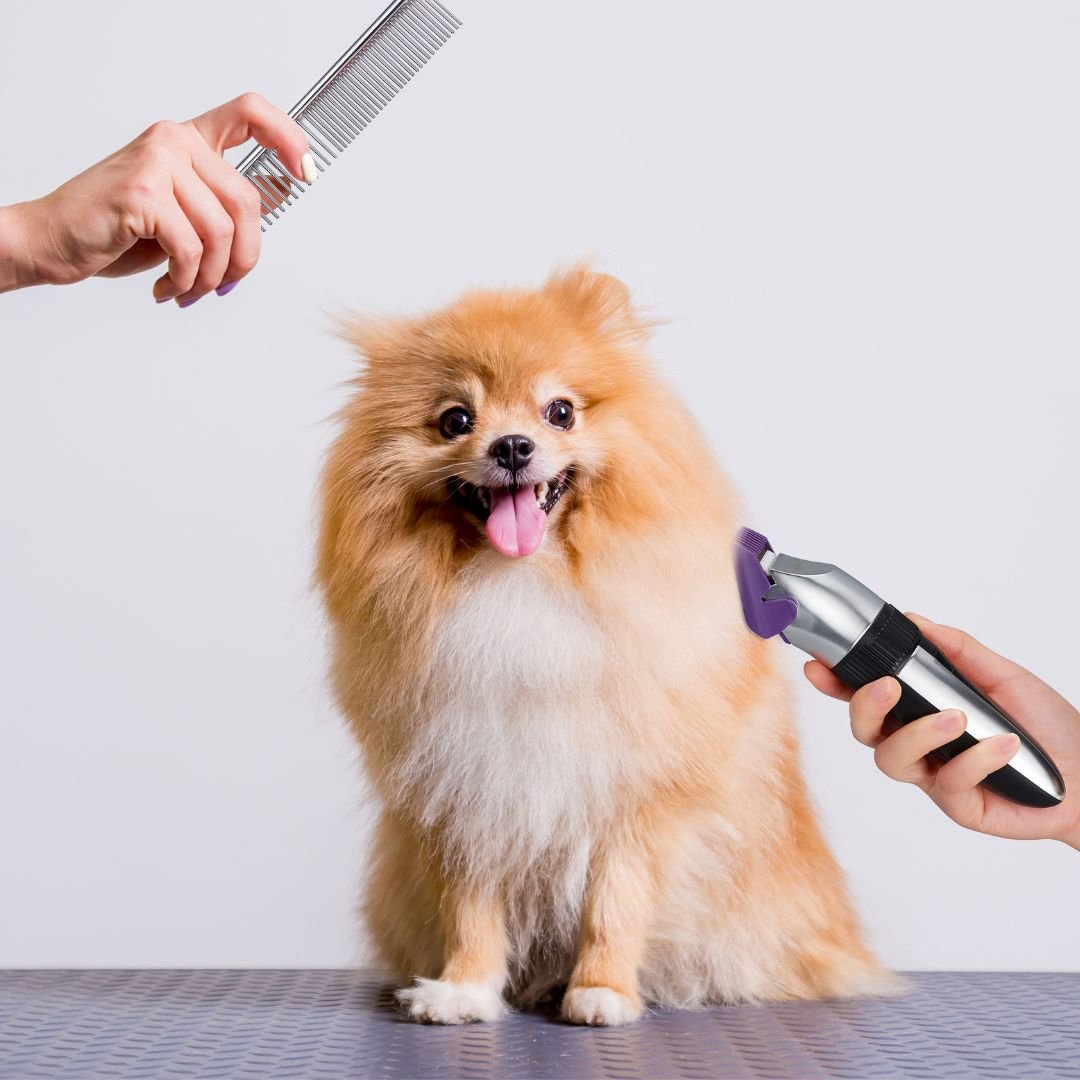 Pets' - BarberBoss | Look Your Best, Everyday