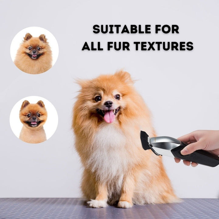 CLEARANCE - BarberBoss Pet QR - 9083 Professional Dog Grooming Clippers Kit - BarberBoss | Look Your Best, Everyday